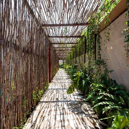 Natu Boutique Stays São Miguel dos Milagres エクステリア 写真